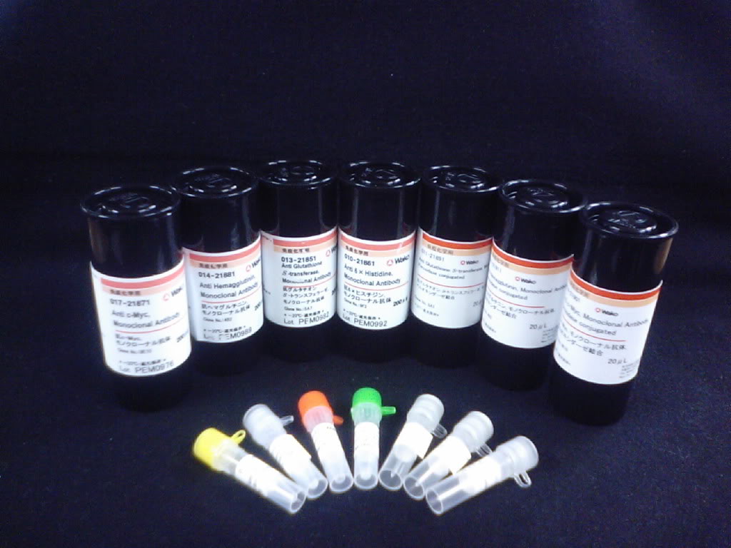 梅里埃定量質控菌株